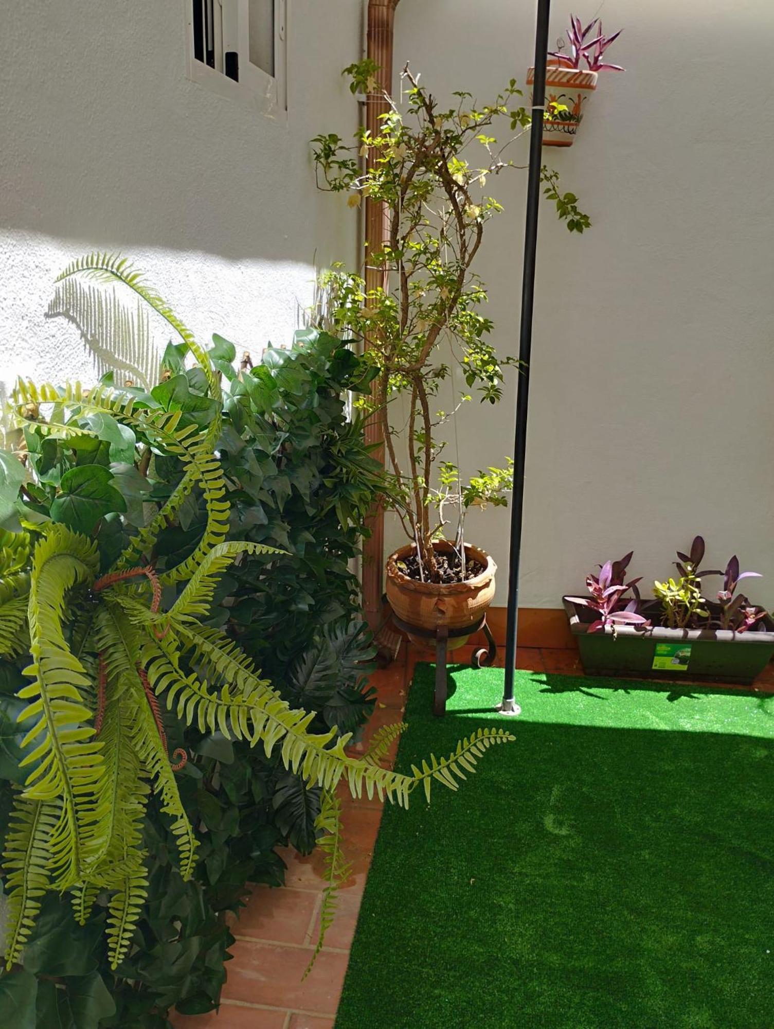 Patios Con Encanto Córdoba Eksteriør bilde